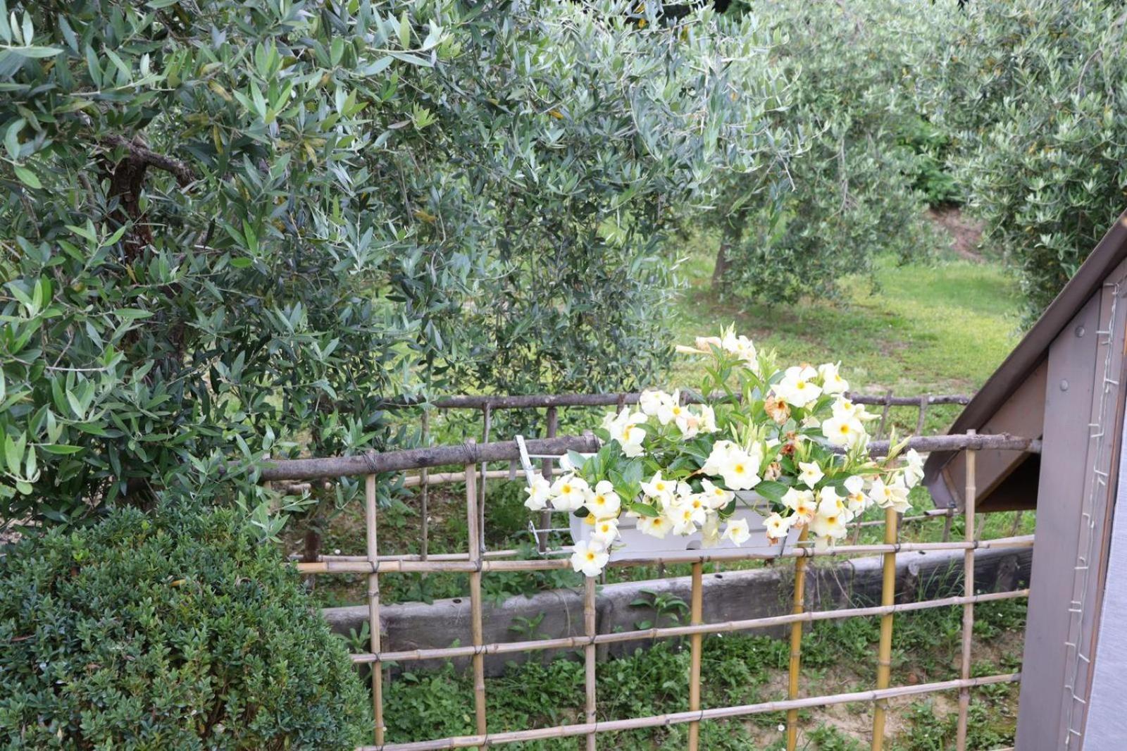Cevoli Country Resort Lari Εξωτερικό φωτογραφία