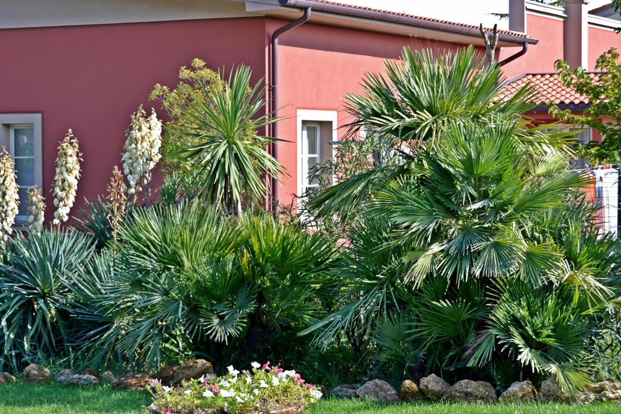 Cevoli Country Resort Lari Εξωτερικό φωτογραφία