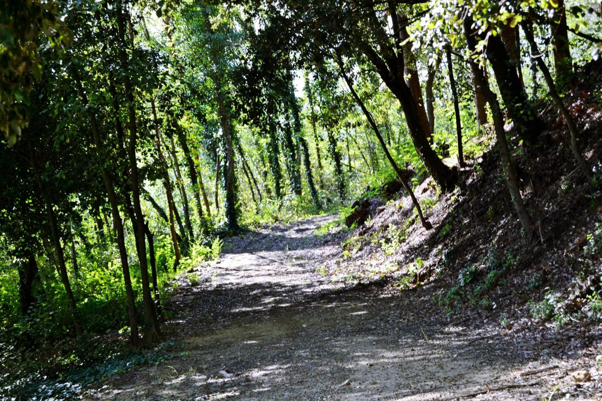 Cevoli Country Resort Lari Εξωτερικό φωτογραφία