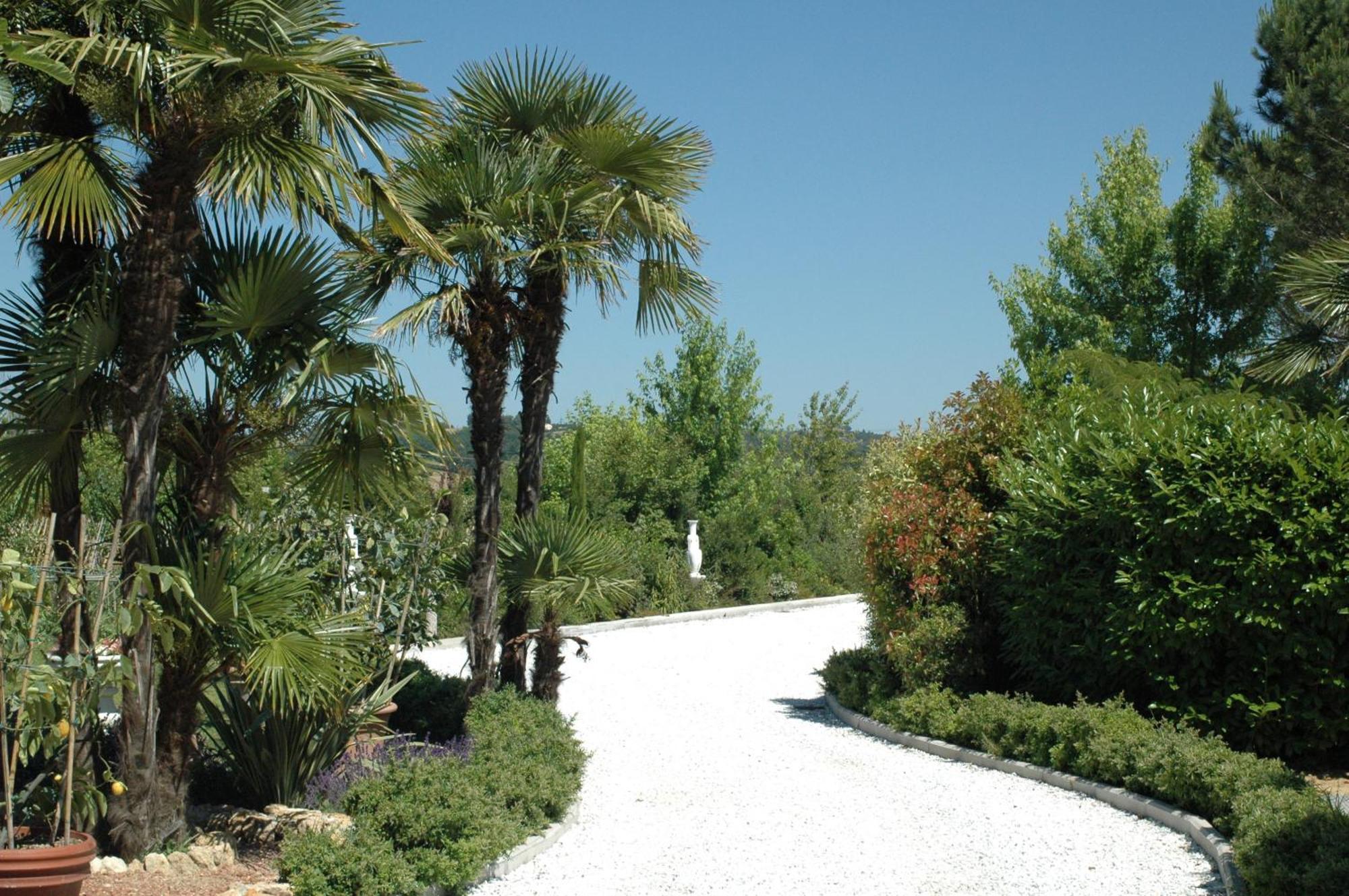 Cevoli Country Resort Lari Εξωτερικό φωτογραφία