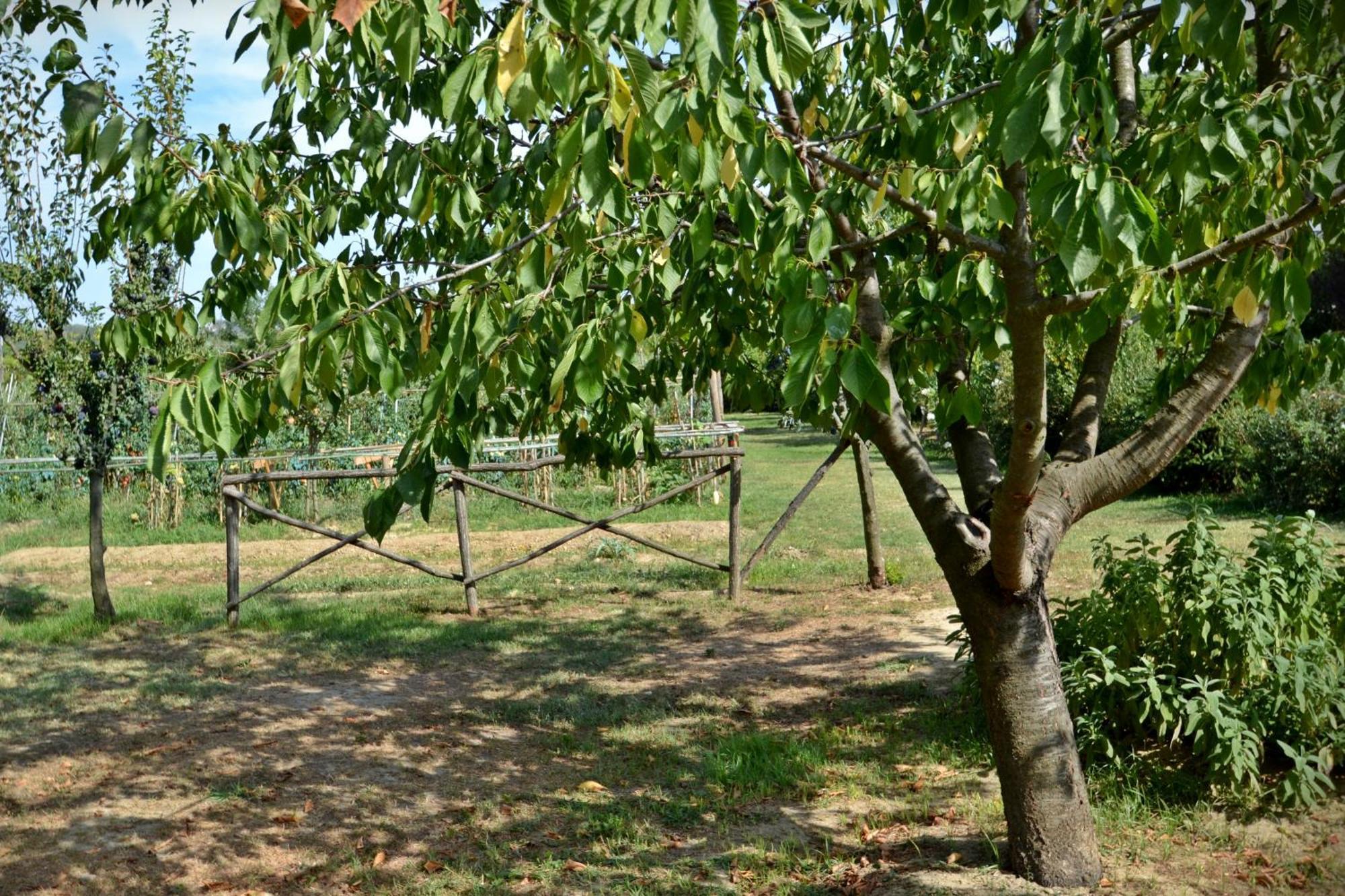 Cevoli Country Resort Lari Εξωτερικό φωτογραφία