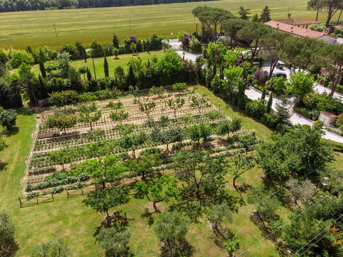 Cevoli Country Resort Lari Εξωτερικό φωτογραφία